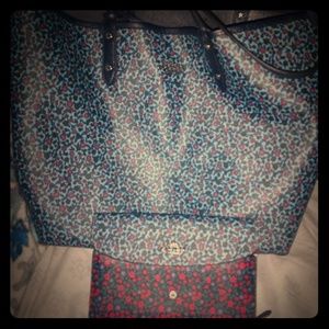Coach Purse and Wallet